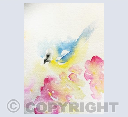 Blue tit and blossom