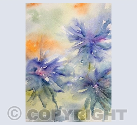 Cornflowers