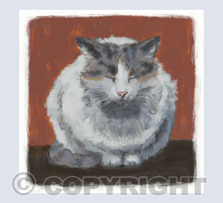 Sleeping Cat