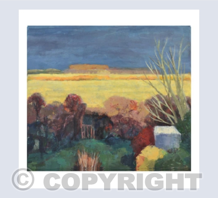 Fen Light