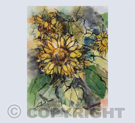 Sunflowers