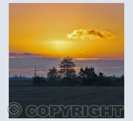 Fenland Sunrise