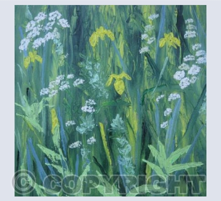 Iris