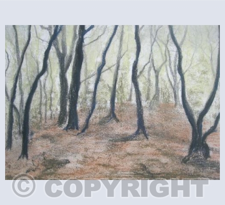 Black Trees
