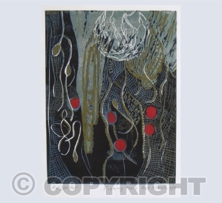 Fishing Nets , Red Floats.