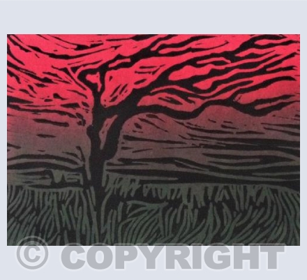 Windswept Tree , Sunset