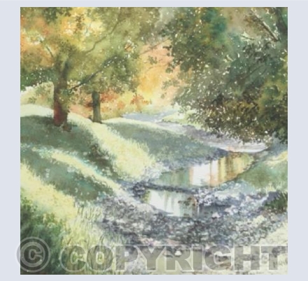 Trees and Stream