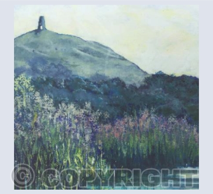 Glastonbury Tor from the marshaes