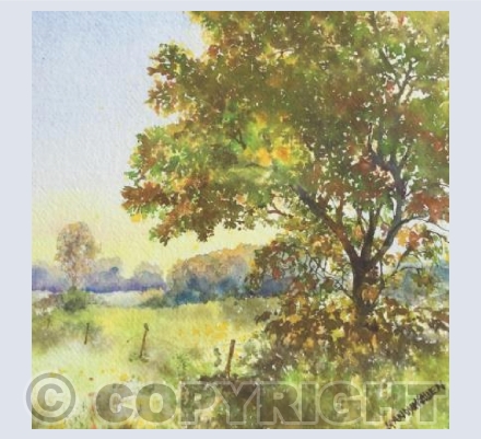 Autumn Tree 