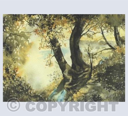 On the banks of the river Otter