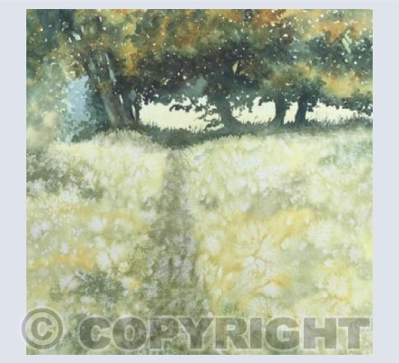 Path by the The River Carey