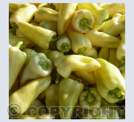 Yellow Peppers