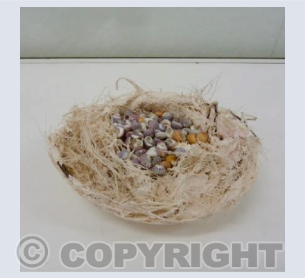 Shell Nest