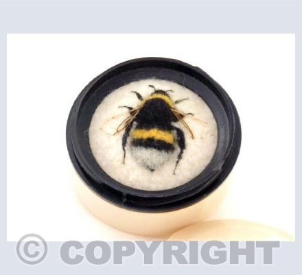 Queen Cryptic Bumblebee