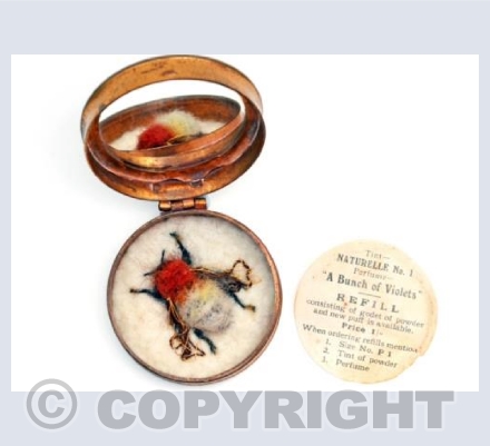 Queen Moss Carder Bee