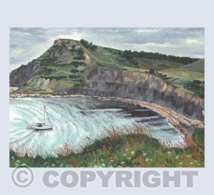 Chapman's Pool