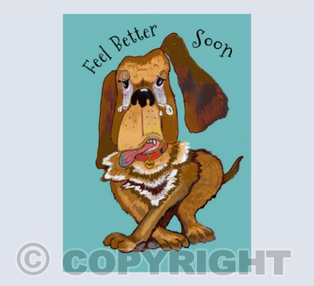 Feel Better Dog