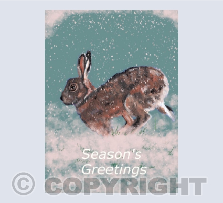 Hare in Winter Seasonal