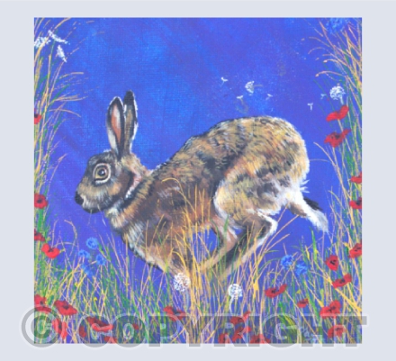 Purple Hare