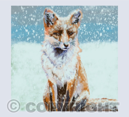 Snowy Fox