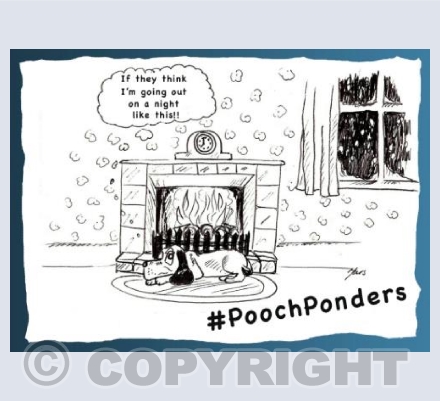 Pooch Ponders Walkies