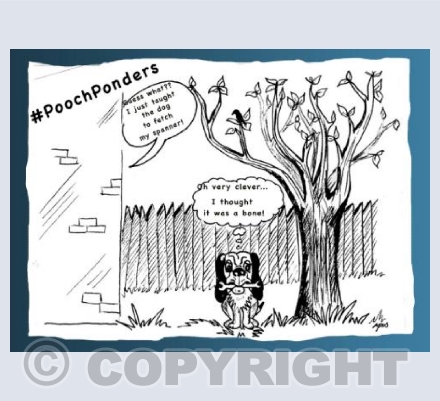 Pooch Ponders Training