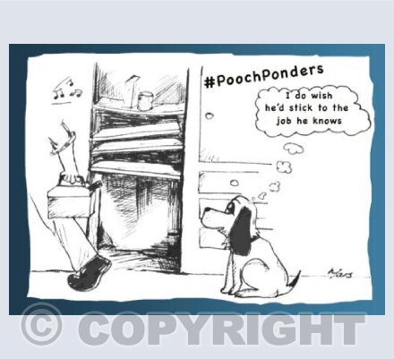 Pooch Ponders DIY