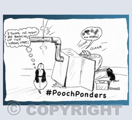 Pooch Ponders Repairs