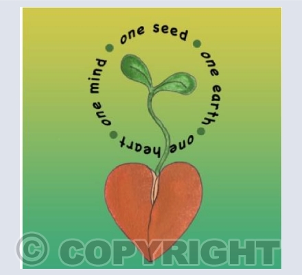 One Seed- colour