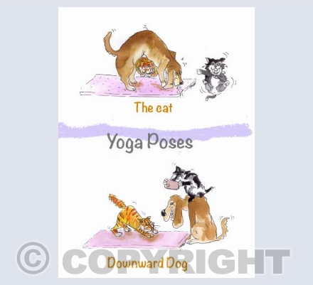 Yoga Poses Dog Cat