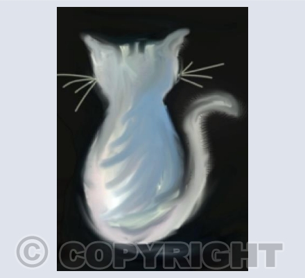 Silver Cat