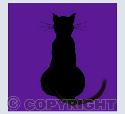 Purple Cat