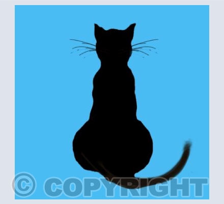 Black Cat on Turquoise