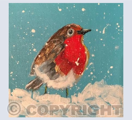 Robin in snow