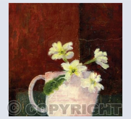 Winter Primroses