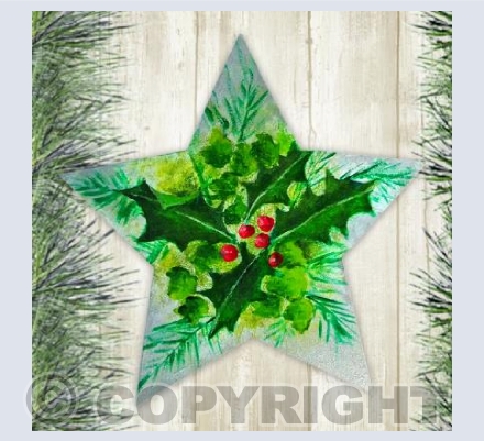 Holly Star 1
