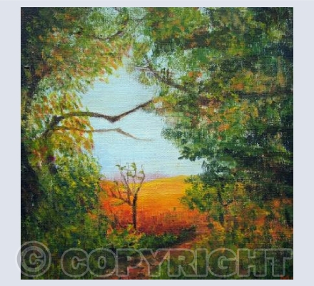 The Way through the Woods