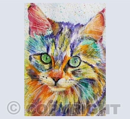 RAINBOW CAT