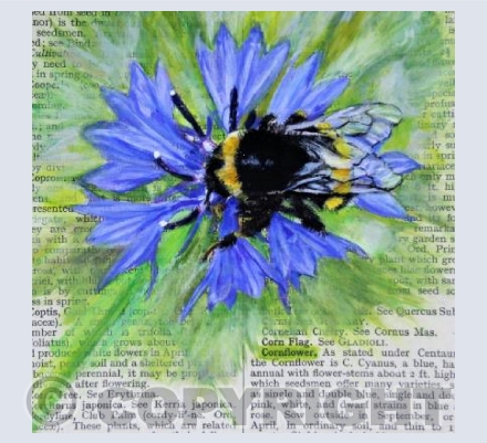 BOOK PRINT BEE