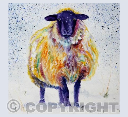WINTER SHEEP