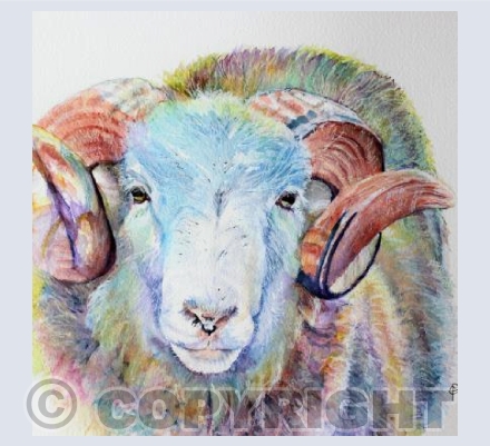 RAINBOW RAM