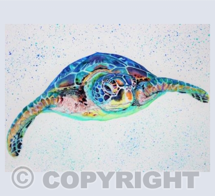 TURTLE (2)