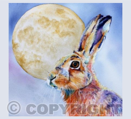 GOLDEN MOON HARE