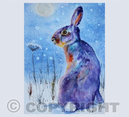 WINTER HARE