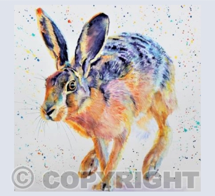 RUNNING HARE