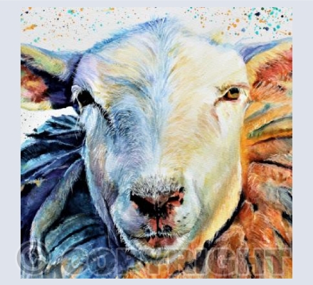 SHEEP PORTRAIT