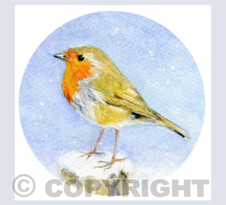 WINTER ROBIN