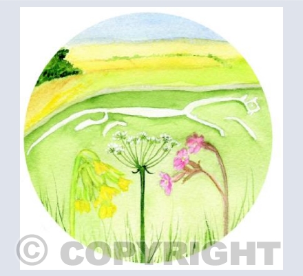 WHITE HORSE AND WILD FLOWERS