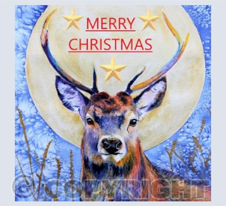 CHRISTMAS STAG