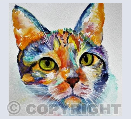 RAINBOW CAT (2)